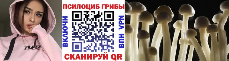 Псилоцибиновые грибы прущие грибы  Шадринск 
